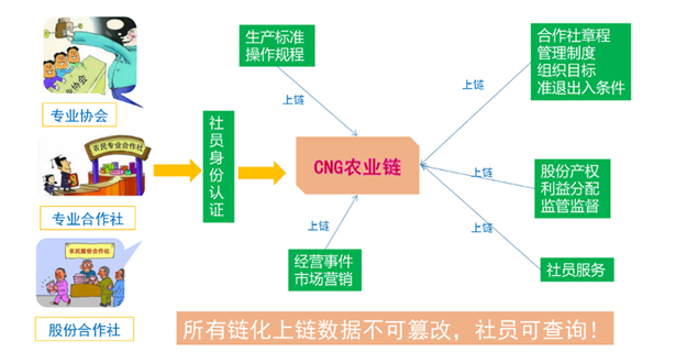 社会基层组织治理应用